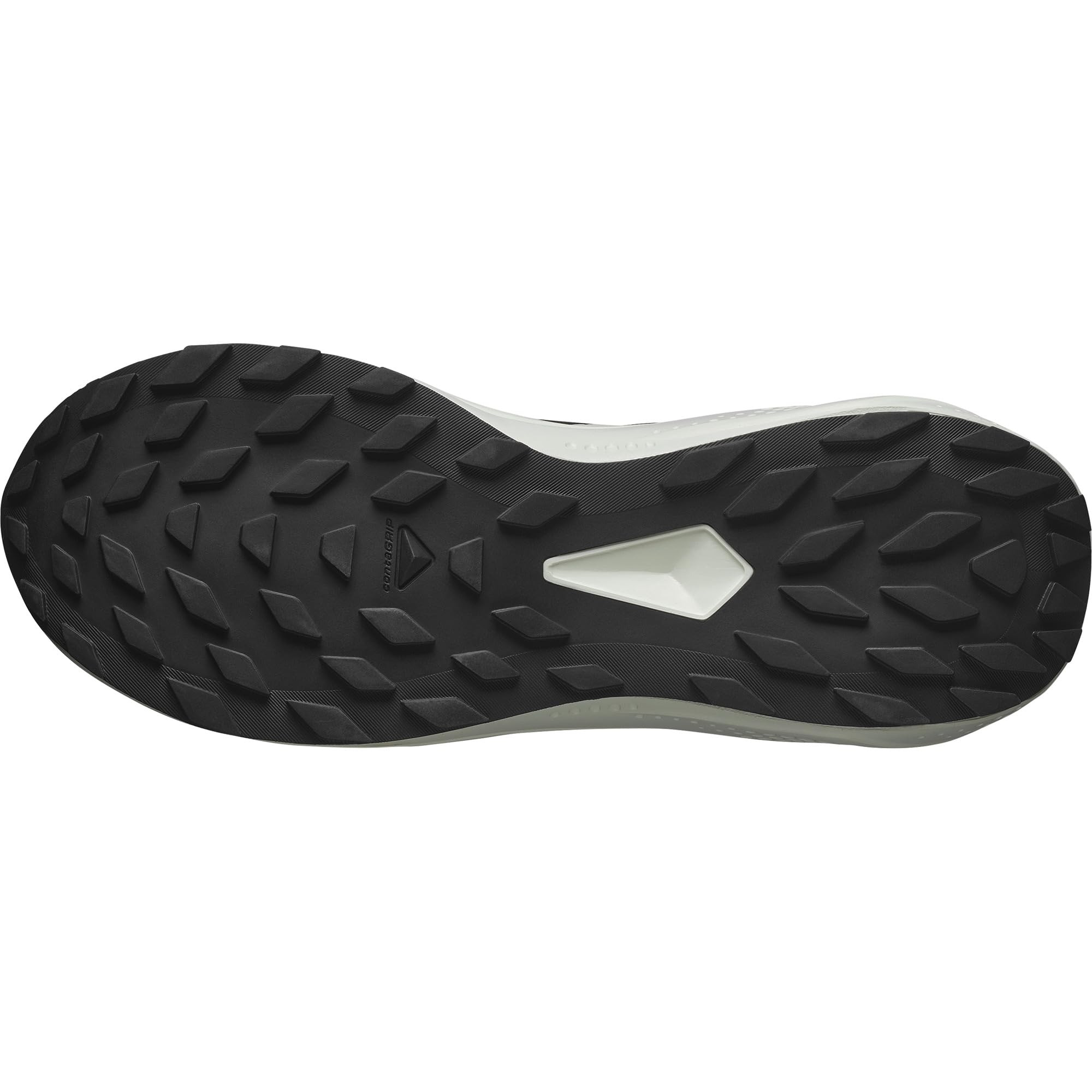 Salomon Men's Alphaglide Hiking Shoe