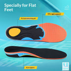 WorkForm Pro insole - TPU rigid arch support and PU shock-absorbing heel pad